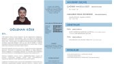 CV Hazırlama