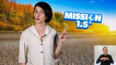 Kampanya Videoları