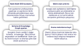 Seo Paketlerimiz