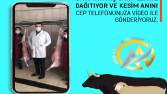 Video Düzenleme