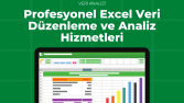Profesyonel Excel Veri Düzenleme ve Analiz Hizmetleri