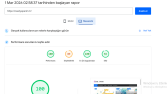 Site hızı 100 :)