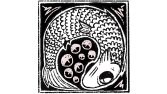 Ex libris tasarımı