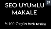 SEO Uyumlu Blog Yazısı Örneği | %100 Özgün + Anahtar Kelime Analizi
