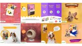 Zoopet SM Tasarımları (Part2)