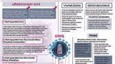 Sunum-Poster Tasarımı