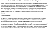 Blog Yazısı