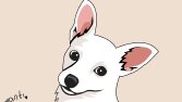Pet Draws