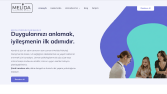 Web Tasarımlar
