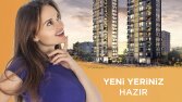 Sosyal Medya Tasamları