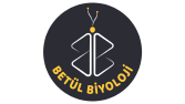 Logo - İş Örneği