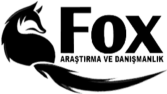 Fox Dedektiflik - Google Reklam Yönetimi