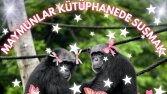 Maymunlar Kütüphanede Susmak