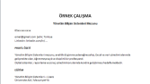 Profesyonel CV / Özgeçmiş Hazırlama