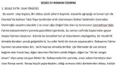 Roman İncelemesi Yazımız 