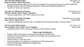 Akademik CV Örneği