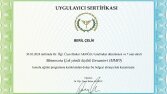 MMPI ve Duygu Odaklı terapi 
