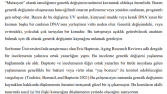 Translation & Interpreting