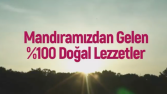 Saray Muhallebicisi - Sosyal Medya Yönetimi