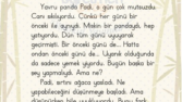Hikâye Örneği