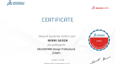 SOLIDWORKS Design Professional (CSWP) 