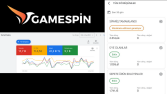 gamespin.com.tr - Yüksek Performanslı Google Ads Yönetimi