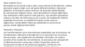 Exemple de Traduction – Turc vers Français