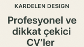 PROFESYONEL DİKKAT ÇEKİCİ CV