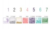 Katalog, portfolyo 