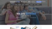 Profesyonel web site teması