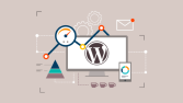 Wordpress'teki hatalarını giderebilirim
