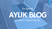 Aylık Blog Hizmeti