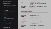 Etkileyici Tasarım Cv