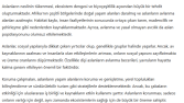 Kelime Gücü: Akademik Yazımda Başarıya Giden Yol