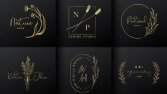 Sizin için profesyonel logo tasarımı yapabilirim