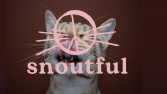 Snoutful — Pet Brand Identity