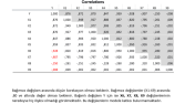 Minitab Veri Analizi
