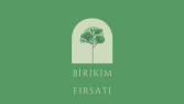 Birikim Fırsatı