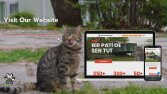 ODTÜ Hayvan Dostları Websitesi
