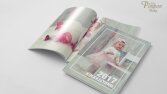 Katalog Çalışması