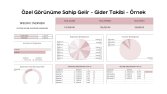 Tarih Aralıklı Gelir-Gider Takip Tablosu