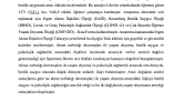Gelişim psikolojisinde akran zorbalığı