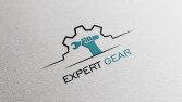 Expert