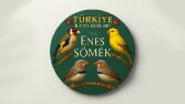 Logo tasarımı 