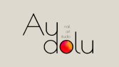 Aydolu Nail Art Logo 
