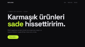 Deniz Arslan: Portfolyo Web Sitesi (Örnek Çalışma)