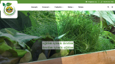 Kooperatif Site TASARIM VE YAZILIMI