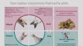 Profesyonel Sosyal Medya Tasarımları