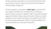 Seyahat Blog İçeriği