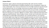 Çalışma Günleri